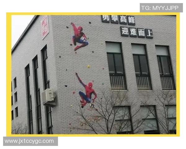 重庆攀岩队整体压制革新探索与实践的深度分析与未来展望